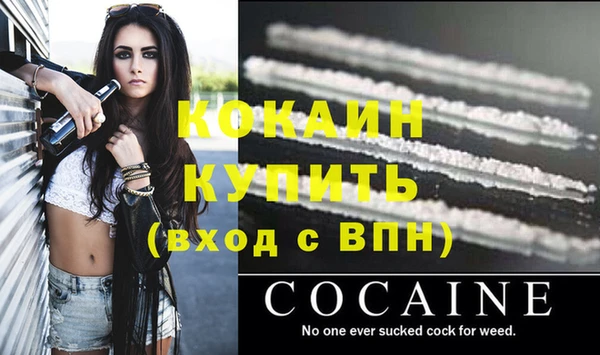 мяу мяу мука Ельня