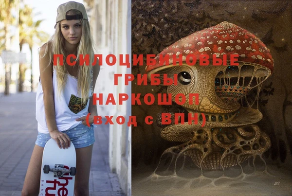 амфетамин Горнозаводск