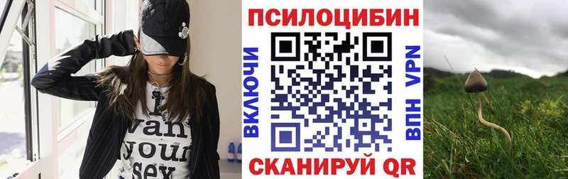 Галлюциногенные грибы GOLDEN TEACHER  Сольвычегодск 